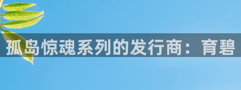 顺盈娱乐平台注册流程图片高清：孤岛惊魂系列的发行商：育碧