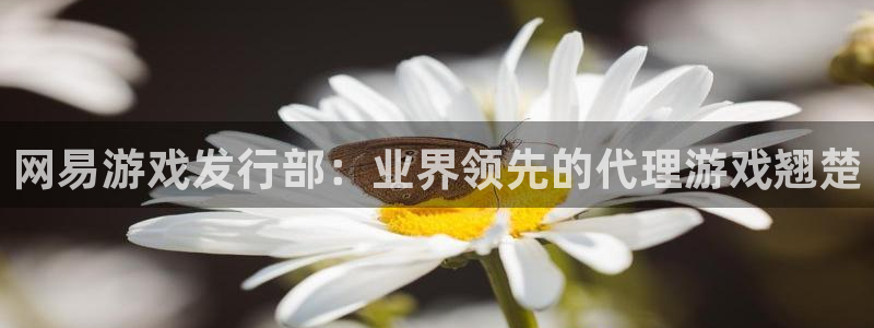 顺盈娱乐平台提现被关闭怎么回事呀：网易游戏发行部：业界领先的代理游戏翘楚